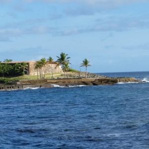 Vittoria-Vitaloni-Personal-Blog