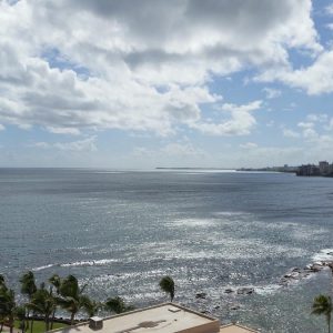 Vittoria-Vitaloni-Personal-Blog