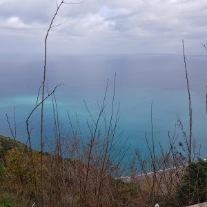 Vittoria-Vitaloni-Personal-Blog