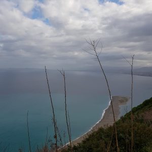 Vittoria-Vitaloni-Personal-Blog