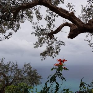 Vittoria-Vitaloni-Personal-Blog