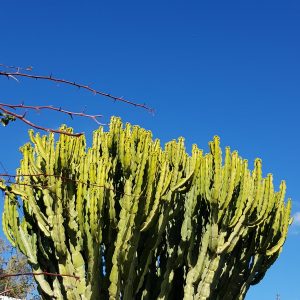 Vittoria-Vitaloni-Personal-Blog