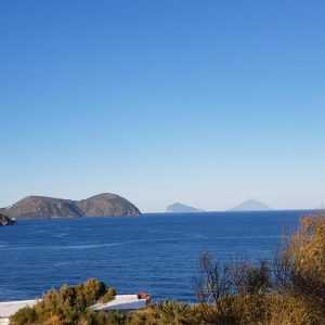 Vittoria-Vitaloni-Personal-Blog