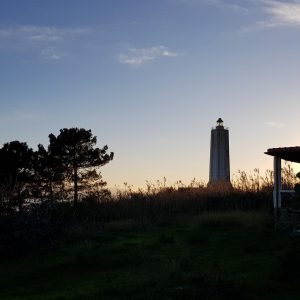 Vittoria-Vitaloni-Personal-Blog