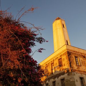 Vittoria-Vitaloni-Personal-Blog