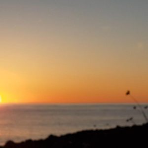 Vittoria-Vitaloni-Personal-Blog