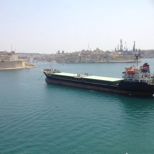 Vittoria-Vitaloni-Personal-Blog