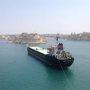 Vittoria-Vitaloni-Personal-Blog