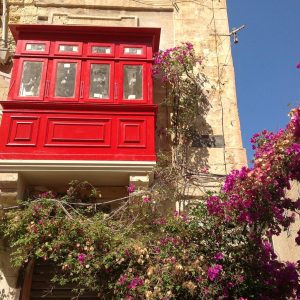 Vittoria-Vitaloni-Personal-Blog